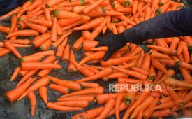 Petani memilah wortel usai pencucian di Tawangmangu, Karanganyar, Jawa Tengah, Senin (13/6/2022). Wortel mengandung serat yang dapat membantu menjaga keteraturan buang air besar dan mendukung mikrobioma usus. 