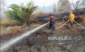 Petugas melakukan proses pemadaman dan pendinginan kebakaran hutan dan lahan (karhutla) di kawasan lahan gambut Desa Deuah, Kecamatan Samatiga, Aceh Barat, Aceh, Sabtu (26/10/2024). 