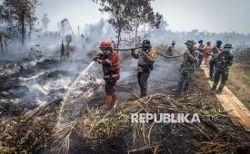 Petugas gabungan menyemprotkan air saat penanganan kebakaran hutan dan lahan (karhutla) di Kabupaten Kampar, Riau, Senin (24/8/2026).