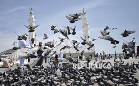 Umat Islam memberi makan burung merpati dengan latar belakang Masjid Quba di Madinah, Arab Saudi, Rabu (18/6/2025). Masjid Quba yang berada sekitar empat kilometer dari Masjid Nabawi merupakan masjid yang pertama dibangun oleh Rasulullah SAW pada tahun 1 Hijriah atau 622 Masehi. 