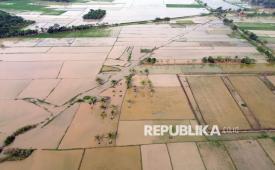 Penampakan sawah terendam banjir di Kecamatan Pantai Labu, Kabupaten Deli Serdang, Sumatera Utara, Ahad (9/11/2025). Curah hujan yang tinggi di Deli Serdang menyebabkan puluhan hektare sawah terendam banjir dan gagal panen.