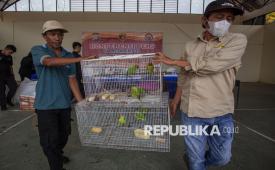 (Ilustrasi) Petugas BBKSDA membawa barang bukti burung dilindungi yang disita saat pengungkapan kasus kepemilikan serta perdagangan satwa dilindungi di Polda Kepri, Batam, Kepulauan Riau, Kamis (21/8/2025). 