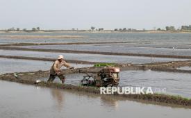Petani membajak lahan pertanian dengan traktor di kawasan Waduk Gajah Mungkur, Wonogiri, Jawa Tengah, Kamis (20/8/2026). Petani setempat memanfaatkan penyusutan air waduk saat kemarau dengan membuka lahan tidak produktif menjadi lahan pertanian baru dan diperkirakan akan masa panen dalam tiga bulan mendatang sebagai upaya meningkatkan perekonomian petani. 