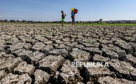 Dua anak bermain layang-layang di area Waduk Sumberkepuh yang mengering di Lengkong, Nganjuk, Jawa Timur, Ahad (6/9/2026).