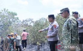 Kodam VI/Mulawarman pulihkan ekosistem pasca-karhutla di Kaltim-Kaltara..