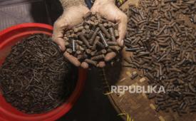 Wood pellet (ilustrasi). PT Biomasa Jaya Abadi (BJA), produsen wood pellet terintegrasi dengan izin kapasitas terbesar di Indonesia, bersama mitranya PT Banyan Tumbuh Lestari (BTL) dan PT Inti Global 