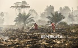 Petugas Manggala Agni Daops Sumatera XII Muara Tebo memadamkan api yang membakar lahan penyangga Taman Hutan Raya (Tahura) Orang Kayo Hitam (OKH), Desa Gedong Karya, Muaro Jambi, Jambi, Senin (19/10/2026).