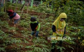 (Ilustrasi) Anak-anak melakukan praktik berkebun di area edukasi pengolahan sampah Padepokan Restu Bumi, Ciracas, Jakarta. 