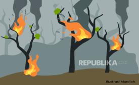 Ilustrasi Kebakaran Hutan