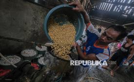 Pekerja memasukkan kedelai ke dalam mesin penghalus di salah satu pabrik tahu dan tempe rumahan, Kecamatan Konda, Kabupaten Konawe Selatan, Sulawesi Tenggara, Sabtu (26/4/2025). Kenaikan harga kedelai impor sejak tiga bulan terakhir dari Rp9 ribu menjadi Rp11 ribu membuat produsen tahu dan tempe di wilayah itu harus mengurangi ukuran tahu dan tempe untuk tetap mendapatkan keuntungan tanpa harus menaikkan harga jual. 