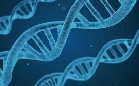 Pemeriksaan DNA bantu kenali kecenderungan risiko kesehatan.