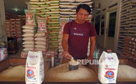 Pedagang menakar beras di Pasar Induk Rau Kota Serang, Banten, Sabtu (16/9/2023). Menurut pedagang beras setempat harga beres kembali naik dari Rp13 ribu menjadi Rp14 ribu per kilogram untuk kualitas premium dan dari Rp11 ribu menjadi Rp12 ribu untuk kualitas medium akibat kurangnya pasokan dari petani dampat musim kemarau. 