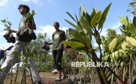 Relawan membawa pohon mangrove untuk ditanam pada pelaksanaan Gerakan Peduli Lingkungan di daerah pesisir Pantai Asoe Nanggroe, Banda Aceh, Aceh, Ahad (19/7/2026). Pemerintah Aceh bekerja sama dengan pihak swasta menanam 1.000 pohon manggrove sebagai upaya menjaga keseimbangan ekosistem pesisir, melindungi garis pantai dari abrasi, dan menjaga habitat serta biota yang hidup di daerah pantai. 