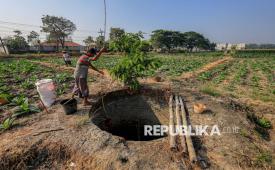 Petani mengambil air dari sumur untuk menyiram tanaman tembakau di Lengkong, Nganjuk, Jawa Timur, Senin (3/8/2026). Sejumlah petani tembakau di kawasan tersebut saling berbagi air sumur untuk menjaga pasokan air irigasi dan mempertahankan produktivitas lahan di tengah terbatasnya ketersediaan air selama musim kemarau yang dipicu El Nino. 