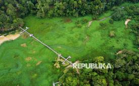 Foto udara memperlihatkan gulma atau tanaman liar memenuhi sebagian besar permukaan Waduk Manggar di kawasan Wisata Meranti, Balikpapan, Kalimantan Timur, Rabu (16/9/2026). Perairan waduk seluas sekitar 500 hektare tersebut tampak tertutup hamparan tanaman.