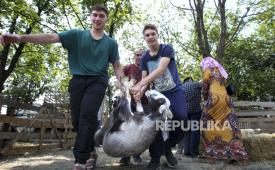  Pria Chechnya membawa domba untuk dikorbankan selama perayaan Idul Adha (ilustrasi)