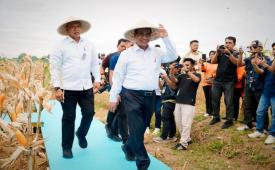 Dirut Bulog minta seluruh jajaran proaktif serap jagung produksi Polri.