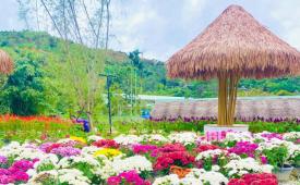 Beberapa tempat wisata di Thailand Selatan. Pemerintah Thailand mengembangkan pariwisata di Thailand Selatan yang merupakan distrik dengan konsentrasi Muslim tertinggi di Negeri Gajah Putih.