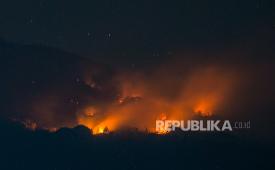 Api membakar hutan dan lahan (karhutla) Gunung Lawu.