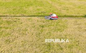 Foto udara petani memanen padi menggunakan mesin pertanian di lahan bekas perkebunan kelapa sawit di Desa Tanjung Pasir, Kecamatan Pemulutan, Kabupaten Ogan Ilir (OI), Sumatera Selatan, Sabtu (1/8/2026). Pemanfaatan lahan eks perkebunan kelapa sawit menjadi areal persawahan merupakan salah satu upaya meningkatkan produktivitas pertanian dan mendukung ketahanan pangan di Sumatera Selatan.