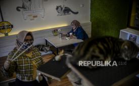 Pengunjung saat menikmati hidangan di salah satu kafe di kawasan Kemang, Jakarta (ilustrasi).
