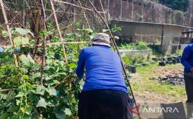 Lapas Narkotika Samarinda libatkan WBP dalam program agribisnis.