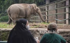 Pengunjung berwisata di Taman Margasatwa Ragunan di Jakarta.