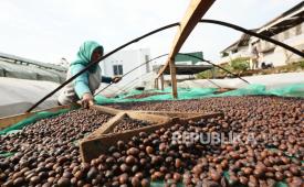 Fermented coffee drying activity at Puntang <p>Kopi outlet in Cimaung area, Bandung