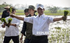 Menteri Pertanian Andi Amran Sulaiman (kanan) menunjukkan padi saat kunjungannya di Kutawaringin, Kabupaten Bandung, Jawa Barat.