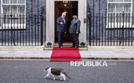 Kucing Larry the Cat melintas saat Presiden Indonesia Prabowo Subianto bertemu dengan Perdana Menteri Inggris Keir Starmer di 10 Downing Street London, Inggris, Selasa (20/1/2026).