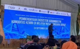 Kemenkeu minta NTB perluas pasar global kemiri.