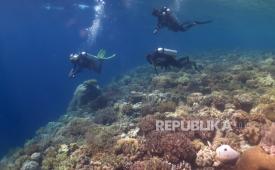 Wisatawan asing didampingi pegiat Wakatobi Dive Trip menyelam di bawah laut spot fan 38 Pulau Tomia, Wakatobi, Sulawesi Tenggara, Kamis (18/5/2023). 
