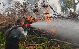 Indonesia patuhi protokol ASEAN dalam penanganan kebakaran hutan: kementerian..
