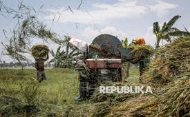 Buruh tani memisahkan gabah bernas dari sekam dan kotoran menggunakan mesin pengembus padi seusai panen di areal persawahan Desa Jamus, Kecamatan Mranggen, Kabupaten Demak, Jawa Tengah, Rabu (8/4/2026). 