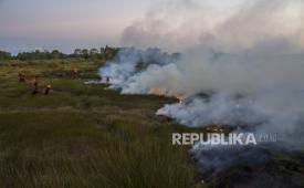 Sejumlah petugas Badan Penanggulangan Bencana Daerah (BPBD) Kalsel berupaya memadamkan api yang membakar lahan di Kecamatan Landasan Ulin, Banjarbaru, Kalimantan Selatan, Rabu (21/6/2023). 