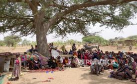  Dalam foto yang disediakan oleh UNICEF ini, sekelompok pengungsi beristirahat di bawah naungan pohon untuk melindungi diri dari matahari dan panas setelah menyeberang ke desa Koufroun, dekat perbatasan Chad-Sudan, di Chad, Kamis (27/4/2023). Ledakan hebat dan tembakan mengguncang ibu kota Sudan Jumat pagi, kata penduduk, meskipun ada perpanjangan gencatan senjata yang rapuh antara dua jenderal tertinggi di kabupaten itu yang perebutan kekuasaannya telah menewaskan ratusan orang.
