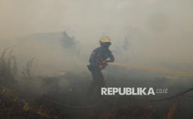 Personel Pemadam Kebakaran Pemerintah Kabupaten Kubu Raya menyemprotkan air ke lahan gambut yang terbakar di belakang Komplek Arwana Indah, Desa Arang Limbung, Kecamatan Sungai Raya, Kabupaten Kubu Raya, Kalimantan Barat, Rabu (5/8/2026). Karhutla yang telah berlangsung selama 12 hari dengan luas diperkirakan lebih dari 10 hektare tersebut semakin mendekati permukiman warga, namun perambatan api ke kawasan perumahan berhasil dicegah oleh tim gabungan pemadam kebakaran dari unsur pemerintah dan swasta. 