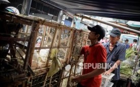 Sejumlah pedagang burung pipit menjajakan dagangannya.