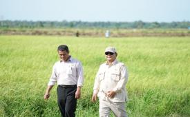 Presiden Prabowo Subianto dan Menteri Pertanian Andi Amran Sulaiman mengunjungi sawah di Merauke. Program swasembada pangan jadi salah satu target utama pemerintahan Prabowo.