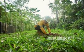 Balai Kesatuan Pengelolaan Hutan (BKPH) Wilayah VII Nusa Tenggara Barat memperketat pengawasan kawasan hutan menyusul ancaman fenomena El Nino ekstrem yang diperkirakan mulai terjadi pada April ini.
