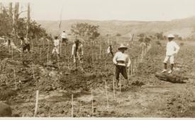 Petugas dari Dinas Kehutanan yang sedang melihat lahan yang terbakar tahun 1927. 