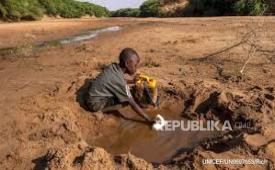 Badan Pangan PBB (WFP) melaporkan lebih dari 40 juta orang di kawasan Afrika Barat dan Tengah tengah menghadapi krisis kerawanan pangan.