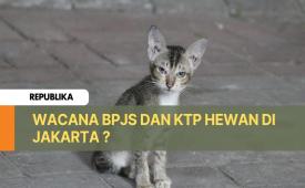 BPJS Kesehatan untuk Hewan di Jakarta