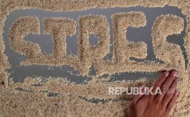 Stres (ilustrasi). Ada enam kebiasaan sehari-hari yang diam-diam bisa mengganggu keseimbangan kortisol dan meningkatkan respons stres tubuh. 