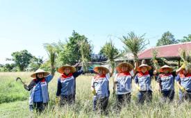 Jajaran komisaris Pertamina melakukan kunjungan ke lokasi program TJSL, yakni program DEB Uma Palak Lestari di Kelurahan Peguyangan, Denpasar Utara, Bali, Sabtu (30/5/2026).