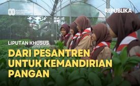 Mandiri Pangan di Pesantren: Tanam dan Tuai Keberkahan