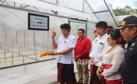 Koperasi KSS melakukan ekspor kakao fermentasi yang kesembilan kalinya ke Belanda pada 17 Agustus 2025. Mereka juga sedang mempersialkan ekspor komoditas yang sama ke Prancis. 