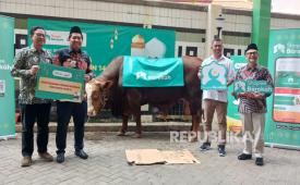 LazisMu menerima kurban seekor sapi limosin dari Shopee di Gedung Pusat Dakwah Muhammadiyah, Menteng, Jakarta, Senin (2/6/2025).