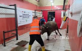 Lazisnu PBNU berkomitmen membantu warga Palestina. 
