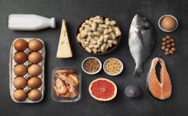 Makanan mengandung protein (ilustrasi). Asupan protein hewani penting dalam upaya pencegahan maupun penanganan obesitas pada anak. 